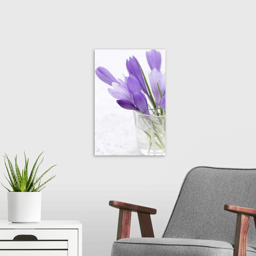 A modern room featuring crocus, flower, purple flower in water, spring flowers