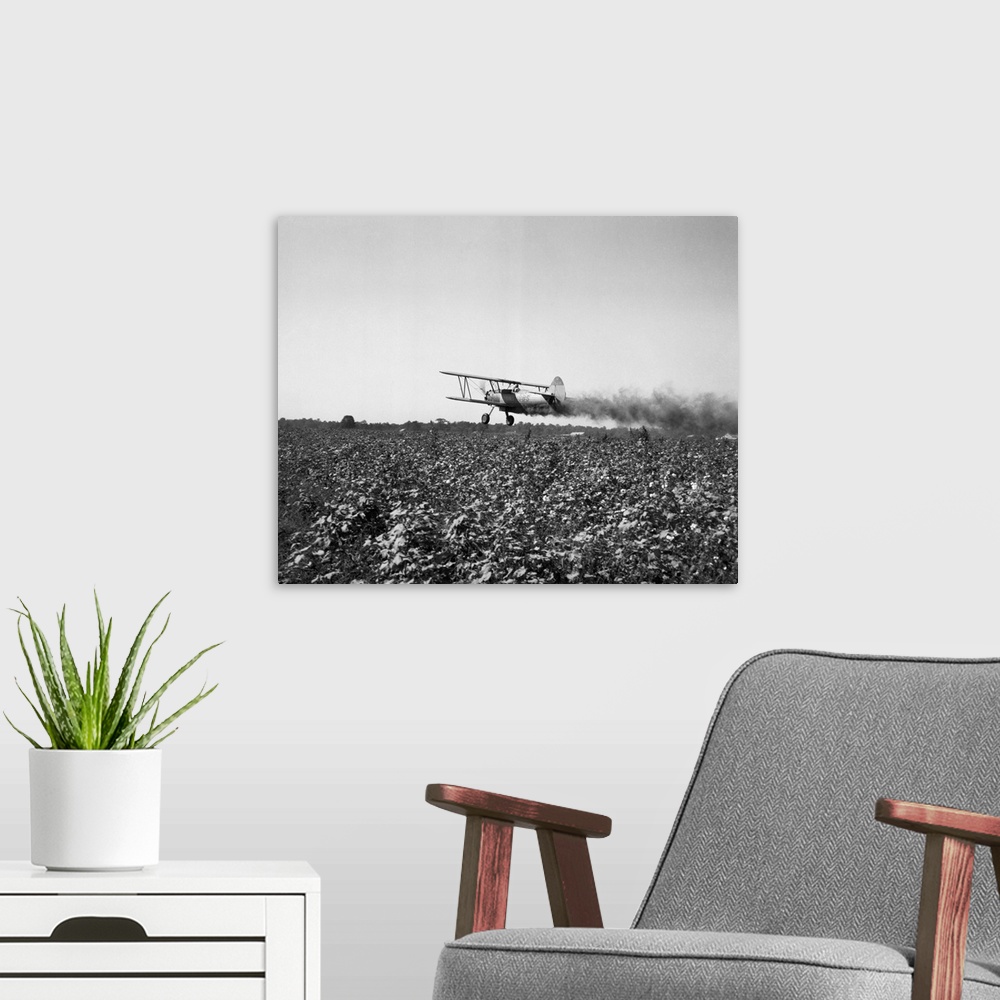 A modern room featuring Crop-dusting plane flies low over field. Undated photograph. BPA2