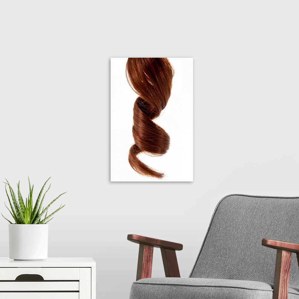 A modern room featuring Up-close photograph of spiraled pony tail end.