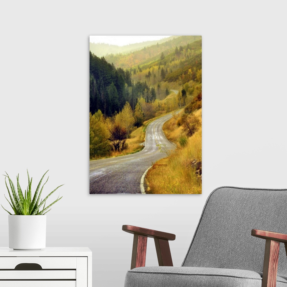 A modern room featuring Curve mountain road with autumn trees in Cascade Springs.