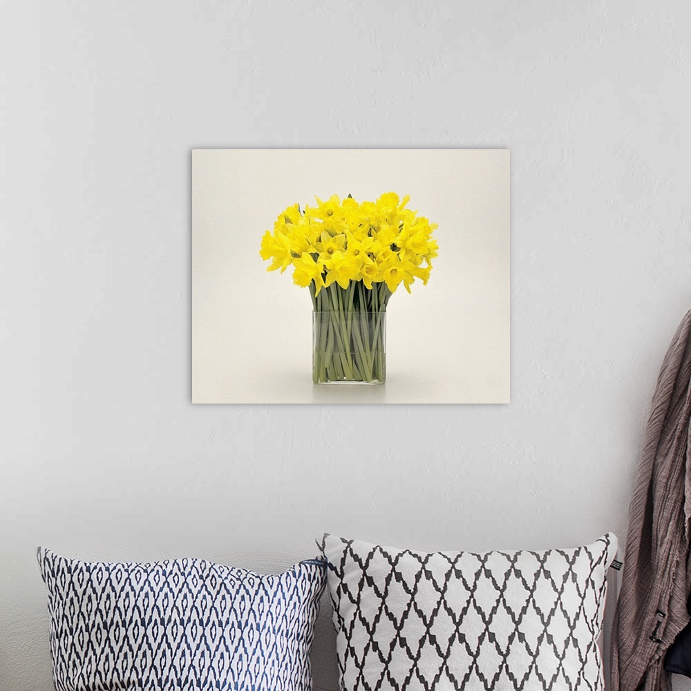 A bohemian room featuring Daffodils