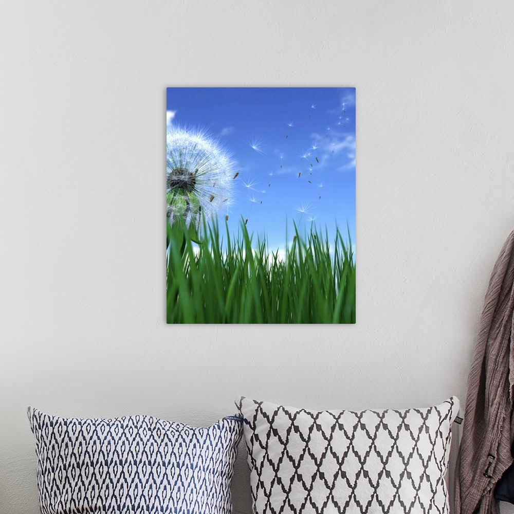 A bohemian room featuring Dandelion seeds blowing in wind, ground view (Digital)