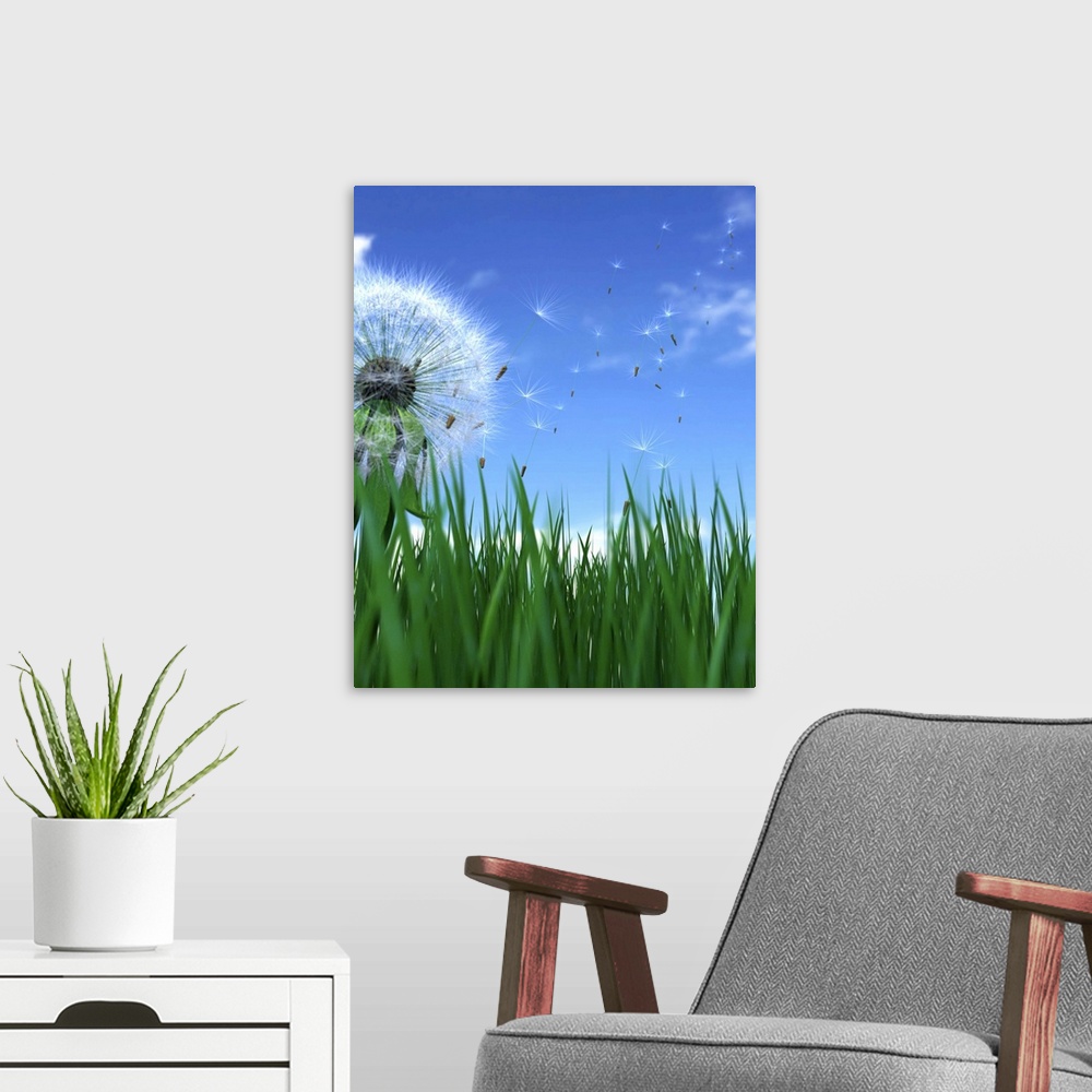 A modern room featuring Dandelion seeds blowing in wind, ground view (Digital)