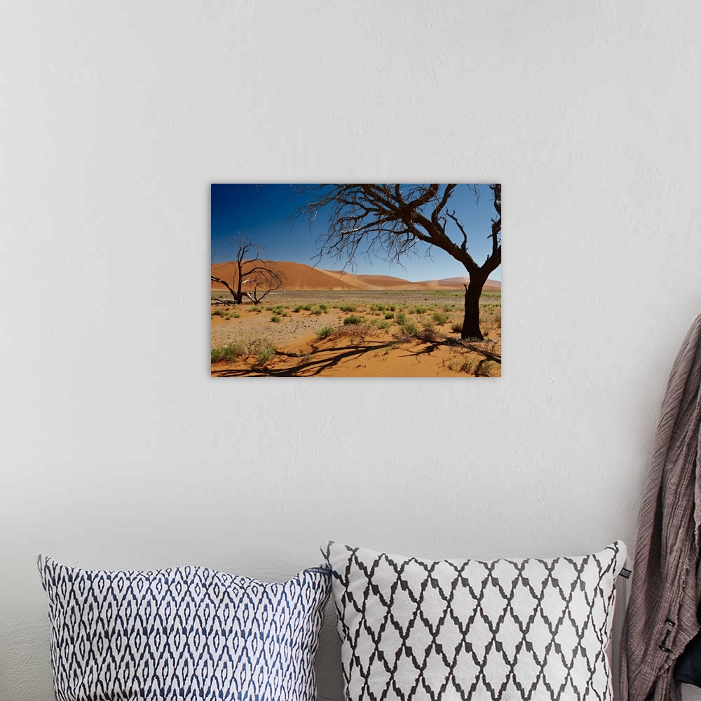 A bohemian room featuring dead tree at dune 45 in desert landscape of Namib at Sossusvlei, Namib-Naukluft National Park, Na...
