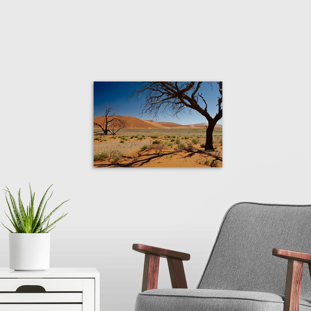 A modern room featuring dead tree at dune 45 in desert landscape of Namib at Sossusvlei, Namib-Naukluft National Park, Na...