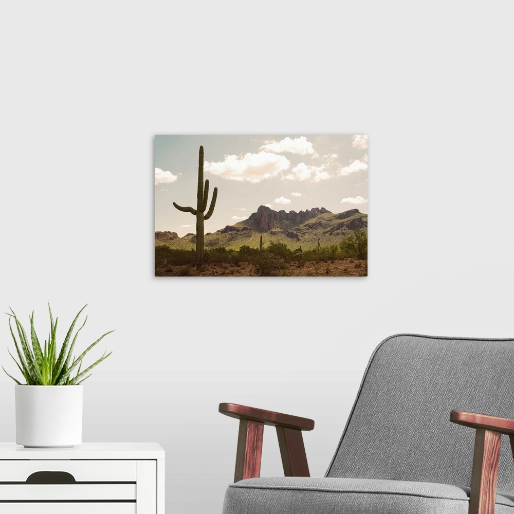 A modern room featuring USA, Arizona, desert landscape with saguaro cacti
