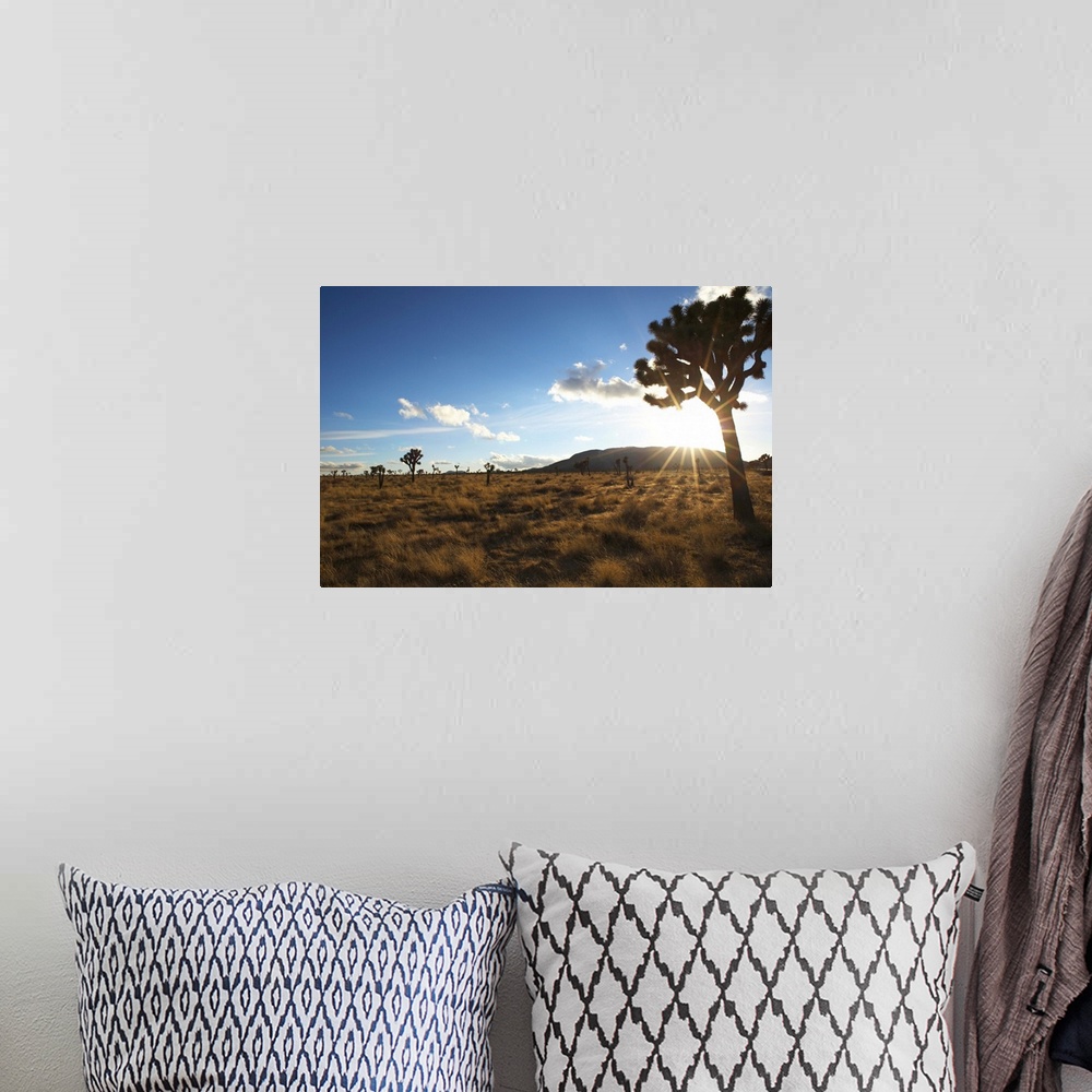 A bohemian room featuring Desert landscape with tree and blue sky