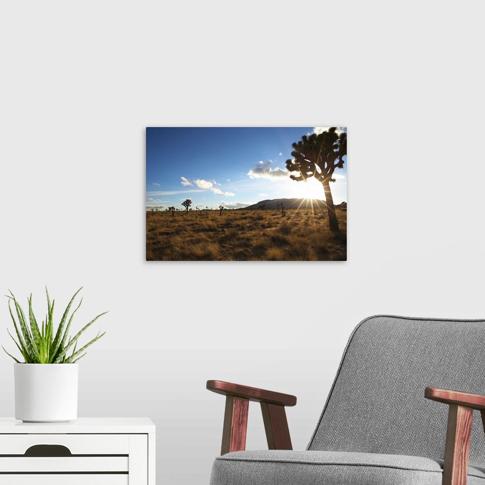 A modern room featuring Desert landscape with tree and blue sky