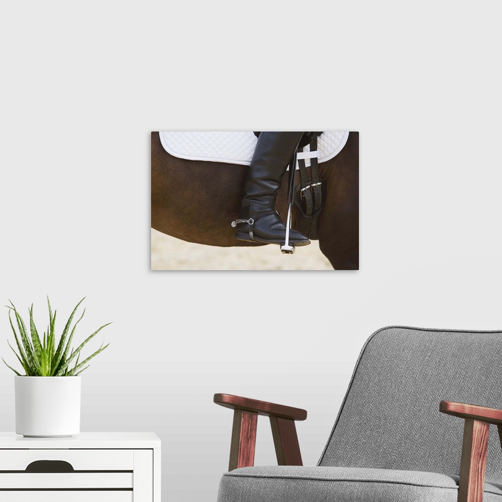 A modern room featuring Detail of female dressage rider on horse