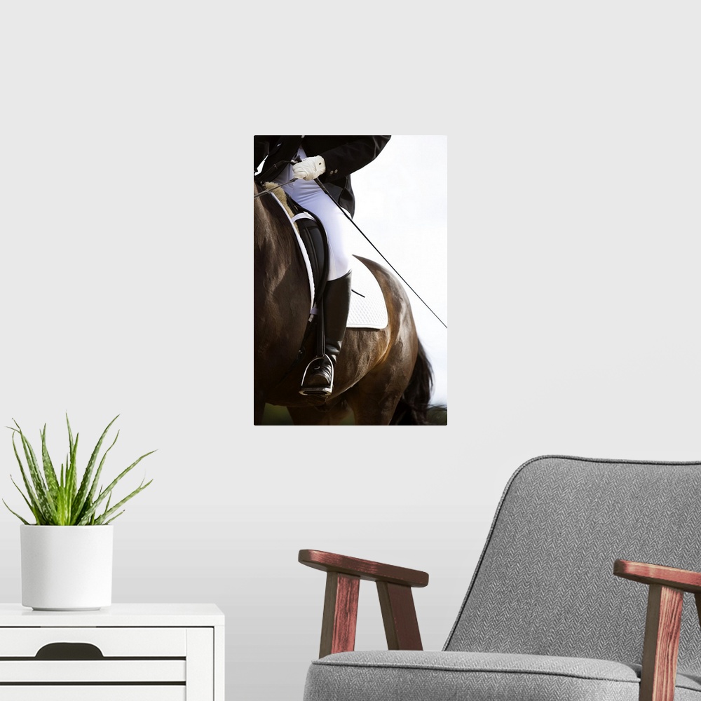 A modern room featuring Detail of female dressage rider on horse