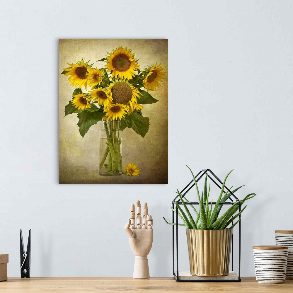 A bohemian room featuring Different size sunflowers are pictured in a tall glass vase against a neutral background.