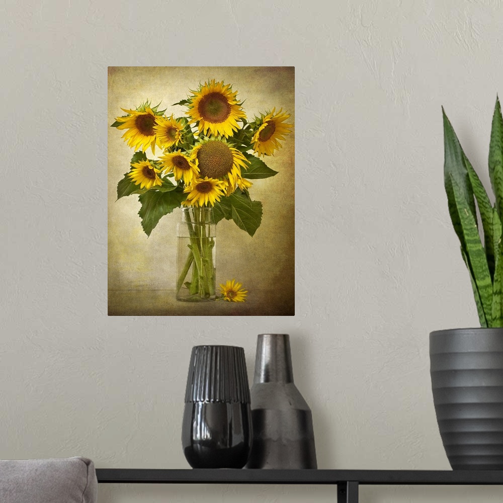 A modern room featuring Different size sunflowers are pictured in a tall glass vase against a neutral background.