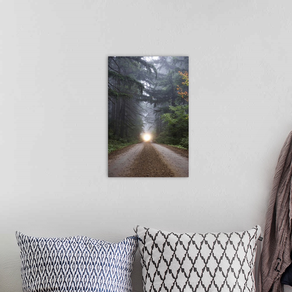A bohemian room featuring Dirt road in misty forest with headlights in distance