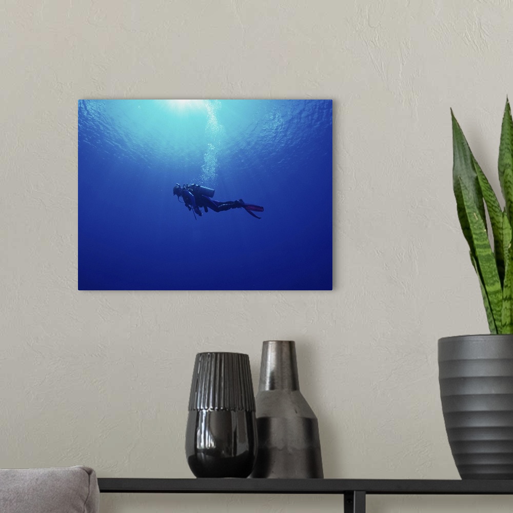 A modern room featuring Diving