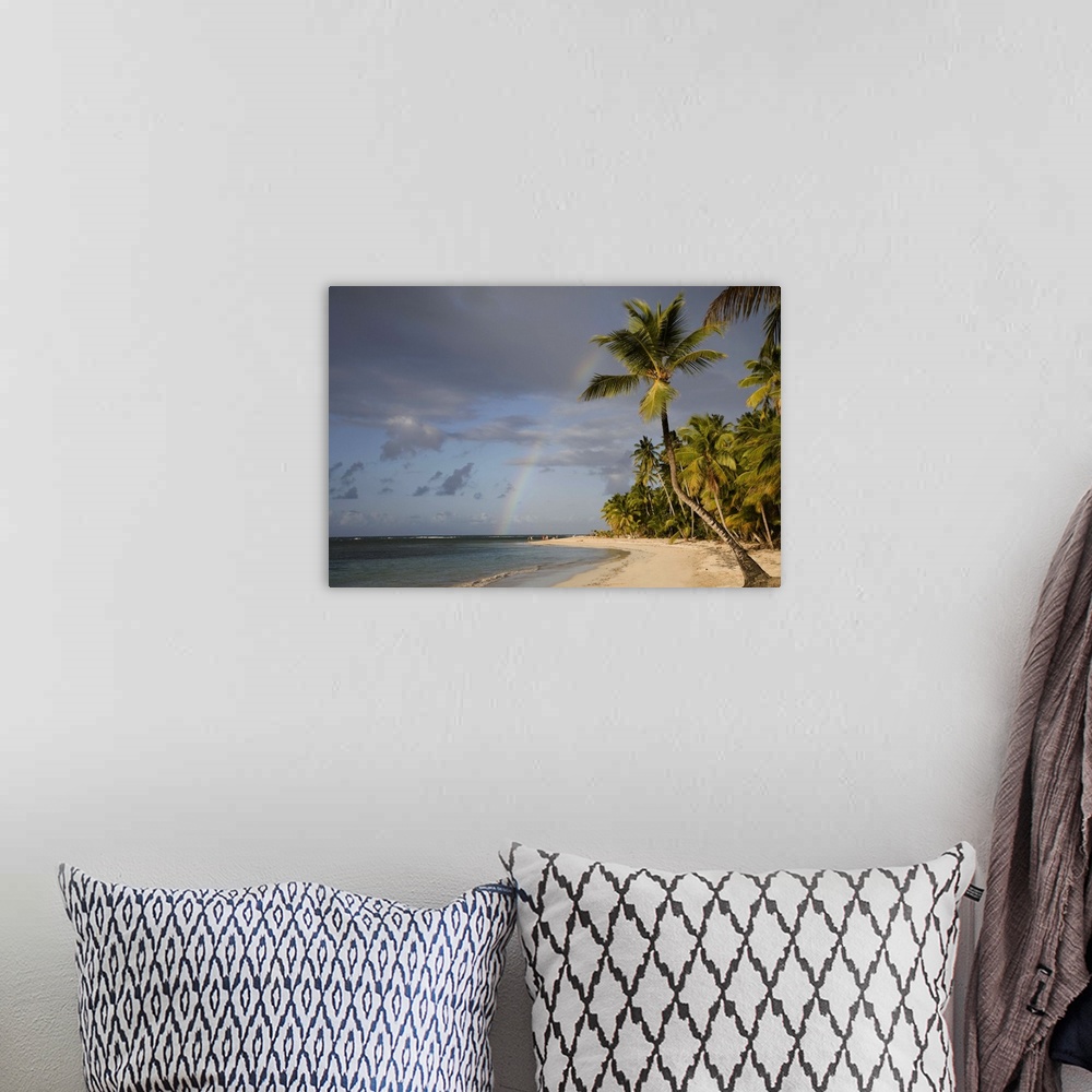 A bohemian room featuring Dominican Republic, Puerto Plata, rainbow over palm trees on beach