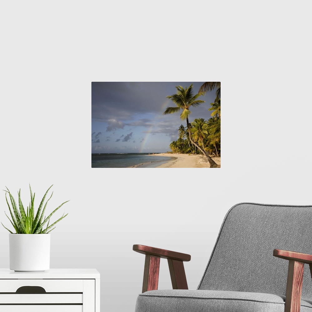 A modern room featuring Dominican Republic, Puerto Plata, rainbow over palm trees on beach