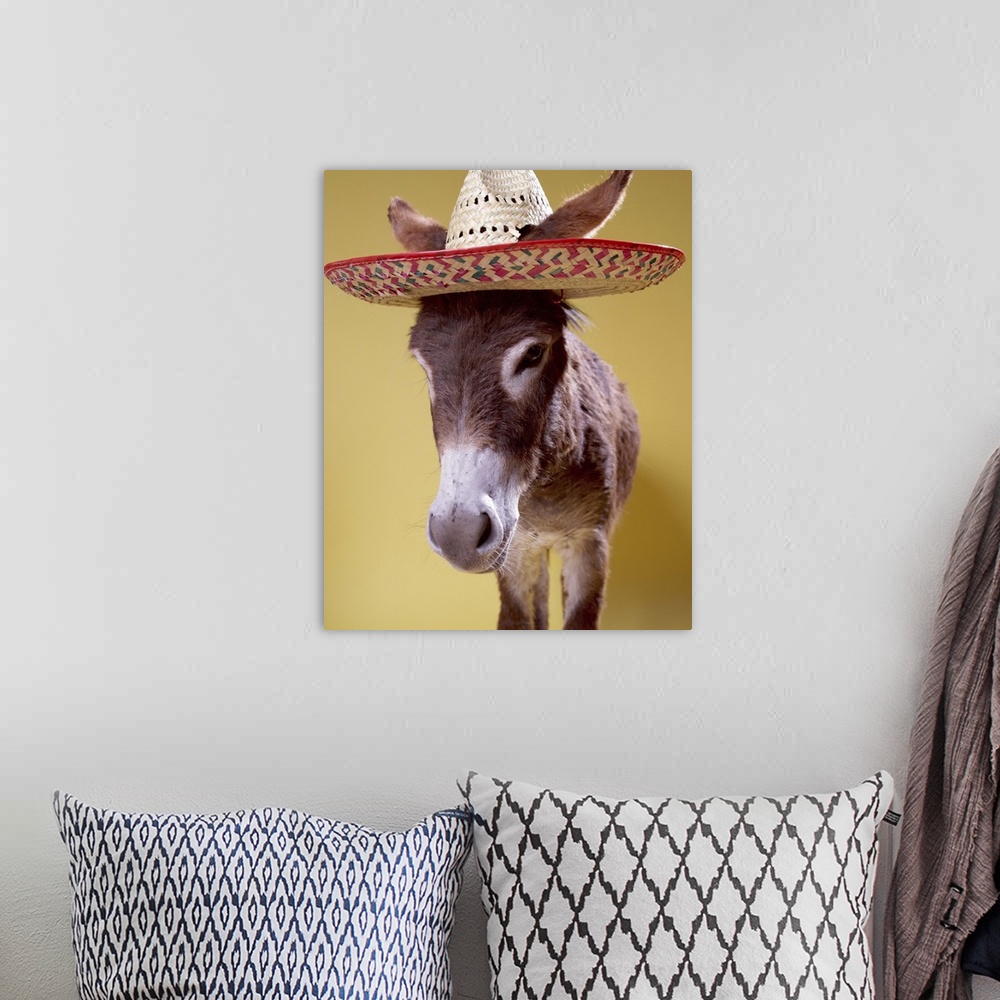 A bohemian room featuring Donkey (Equus hemonius) wearing straw hat