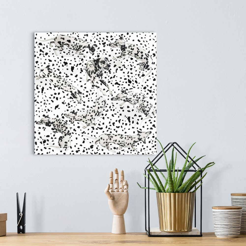 A bohemian room featuring Spotted Dalmatian dogs  walking around in a pattern of dots. One leaping up.