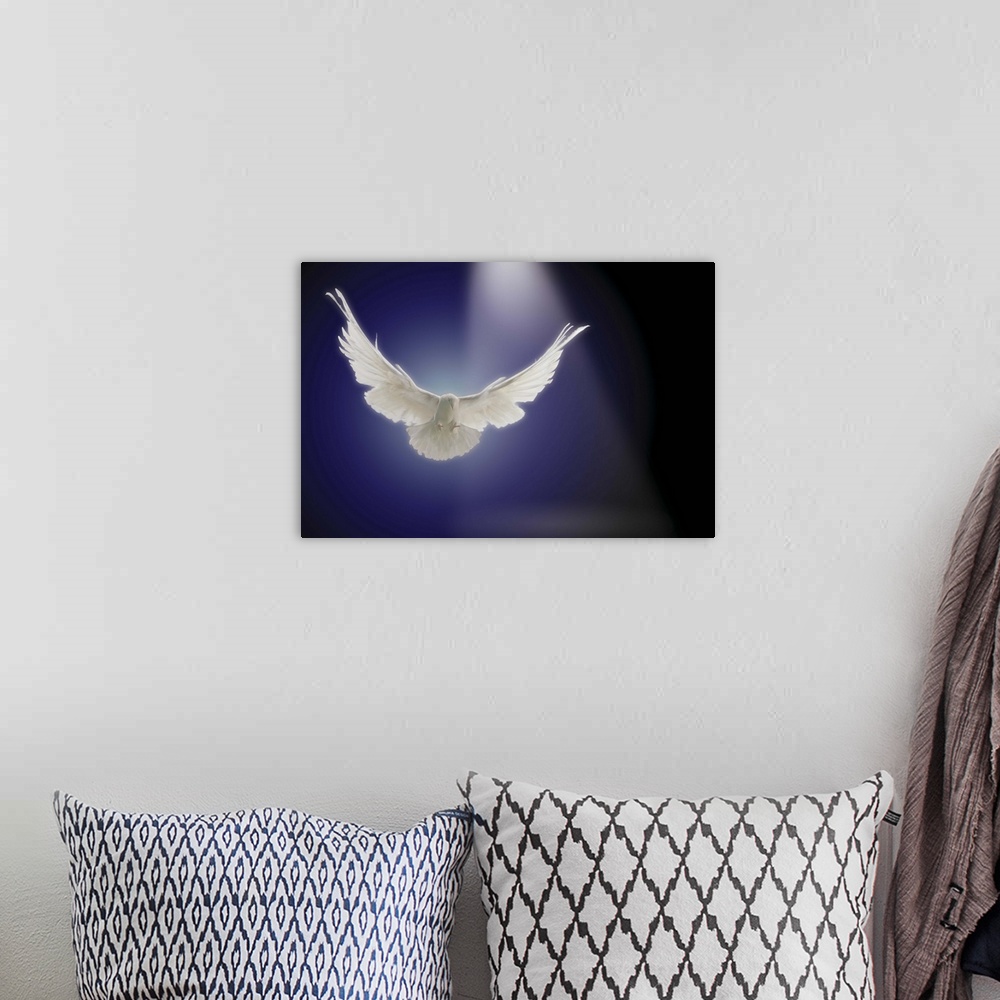 A bohemian room featuring Dove flying through beam of light