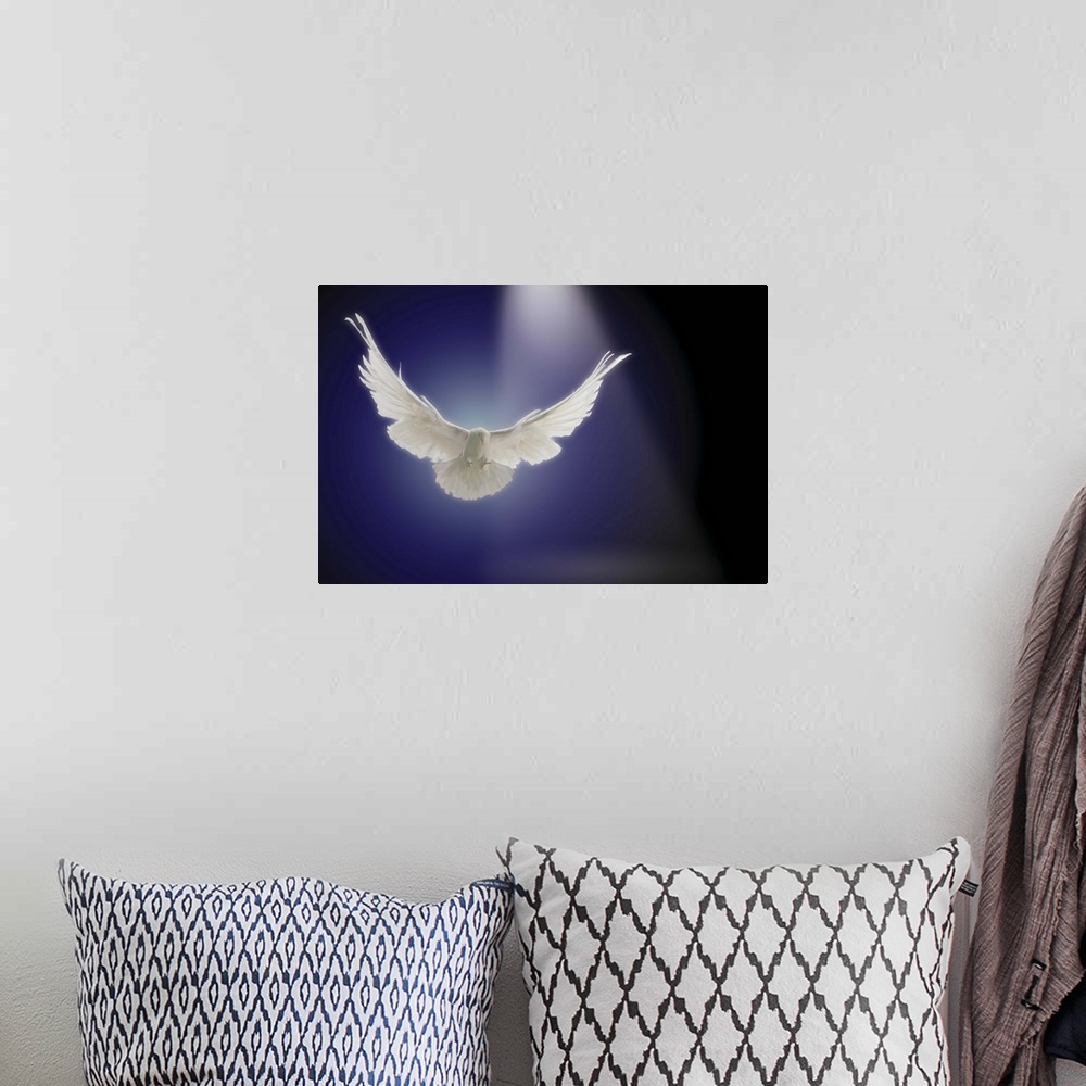 A bohemian room featuring Dove flying through beam of light