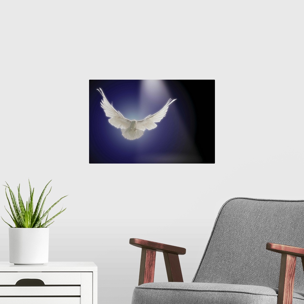 A modern room featuring Dove flying through beam of light