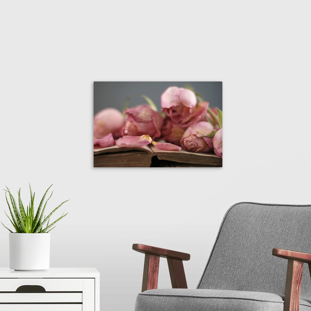 A modern room featuring Dried pink roses on vintage book.