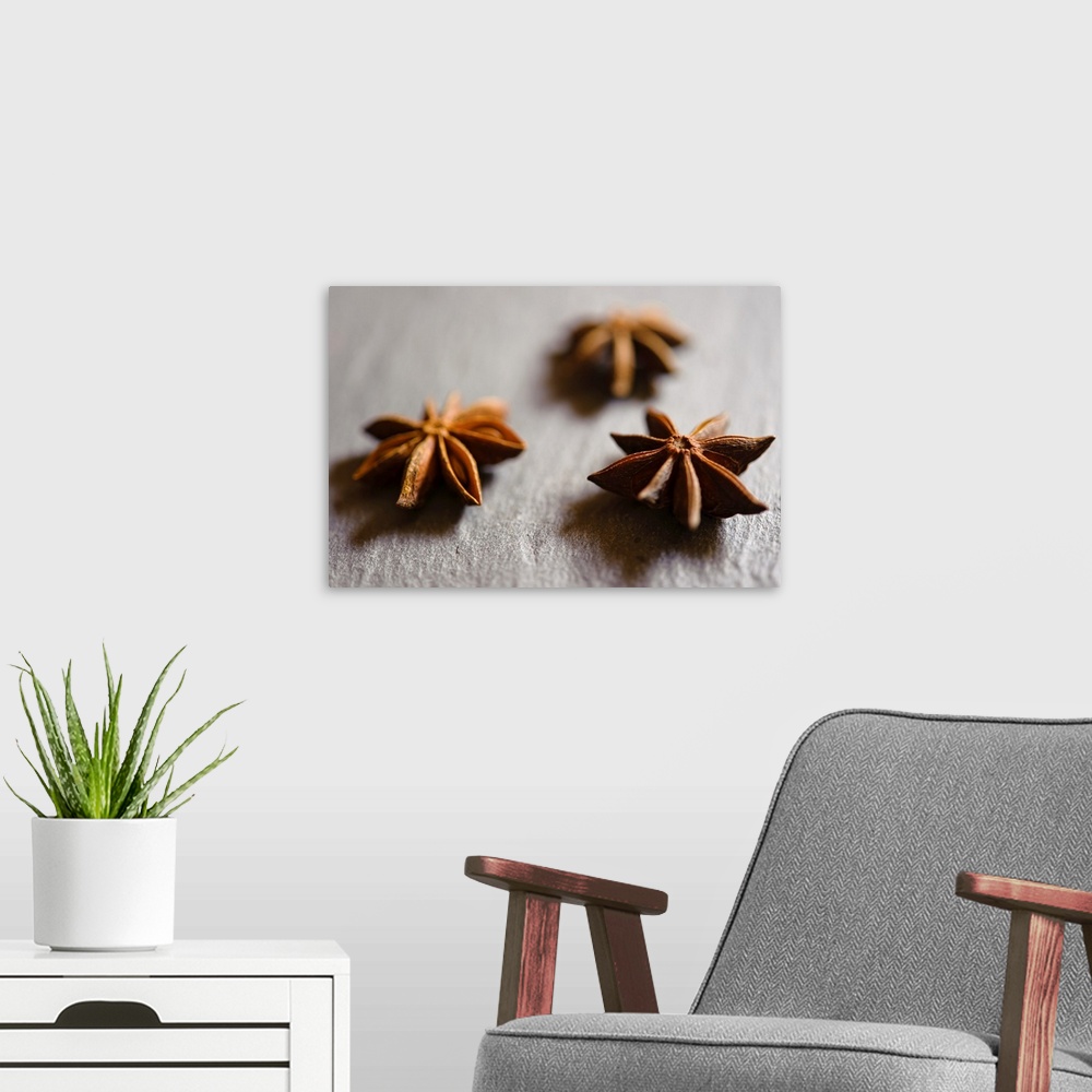 A modern room featuring Dried Star anise pods displayed on a slate tray.