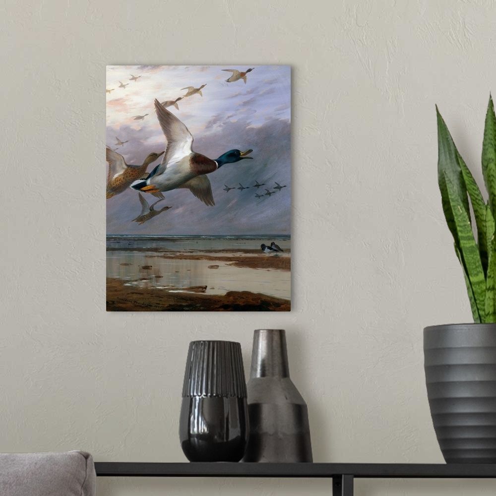 A modern room featuring Duck Rising By Archibald Thorburn