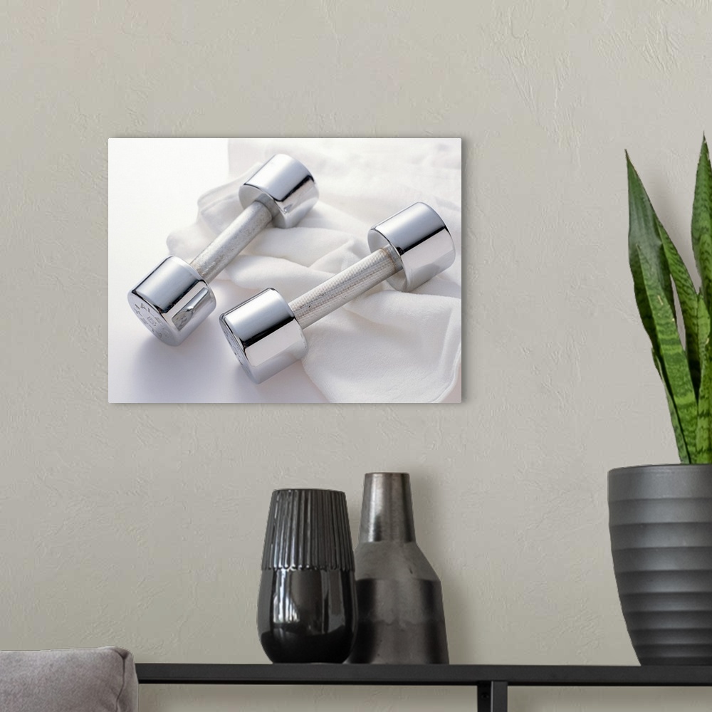A modern room featuring Dumbbell
