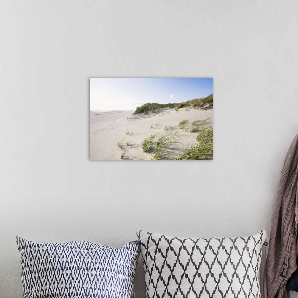 A bohemian room featuring Giant, landscape photograph with a distant view of the grassy dunes along Madaket Beach, the Atla...