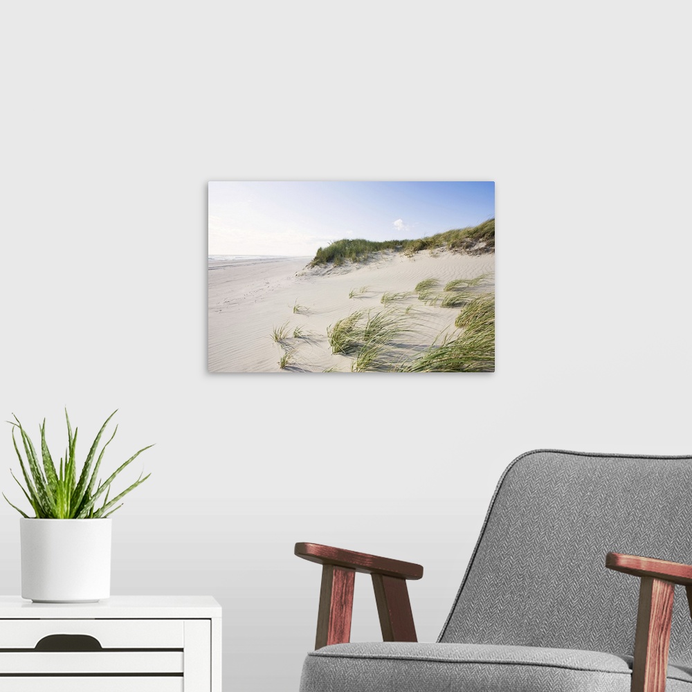 A modern room featuring Giant, landscape photograph with a distant view of the grassy dunes along Madaket Beach, the Atla...