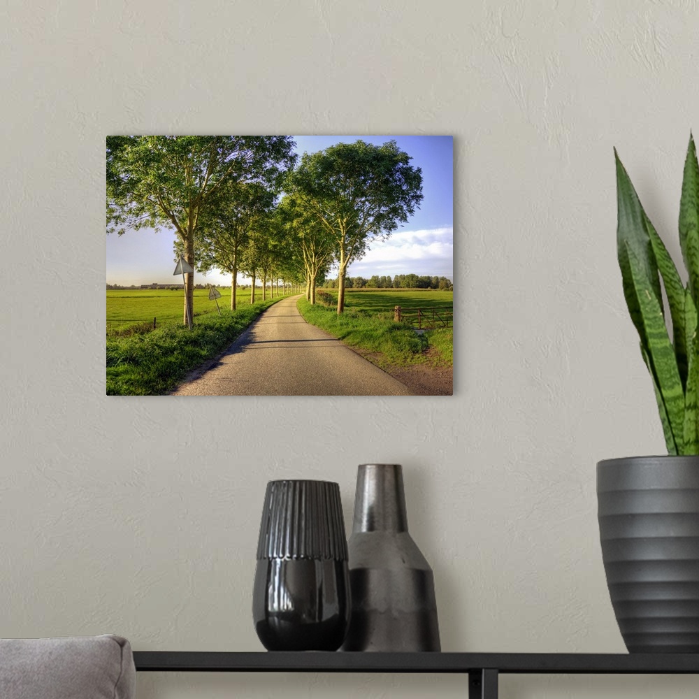 A modern room featuring Typical country road in the Netherlands, with on both sides of the road a row of trees, during th...