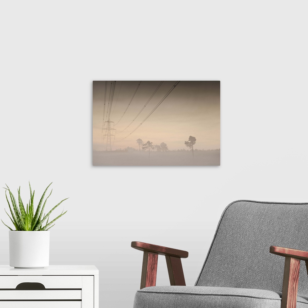 A modern room featuring Electricity pylons and cables running through a forest, at dawn in mist.