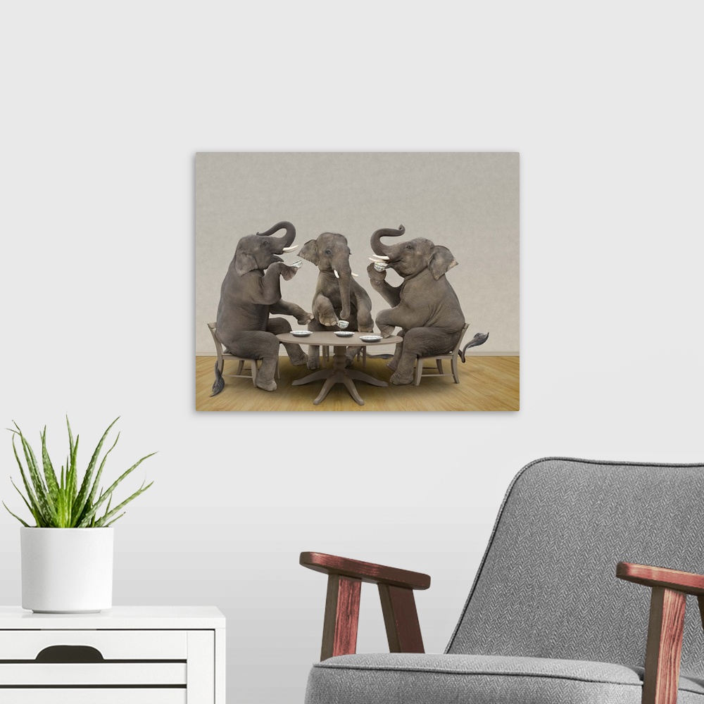 A modern room featuring Elephants having tea party