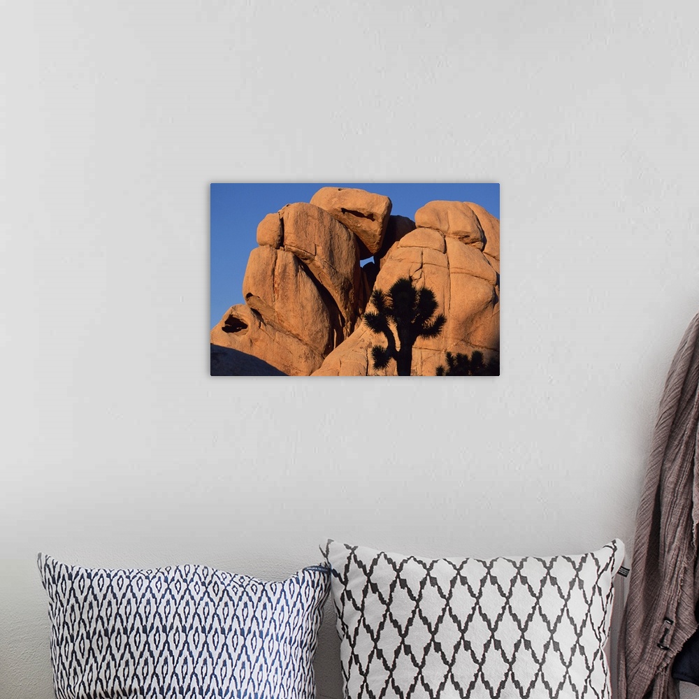 A bohemian room featuring Eroded monzogranite rock at Joshua Tree National Park , California