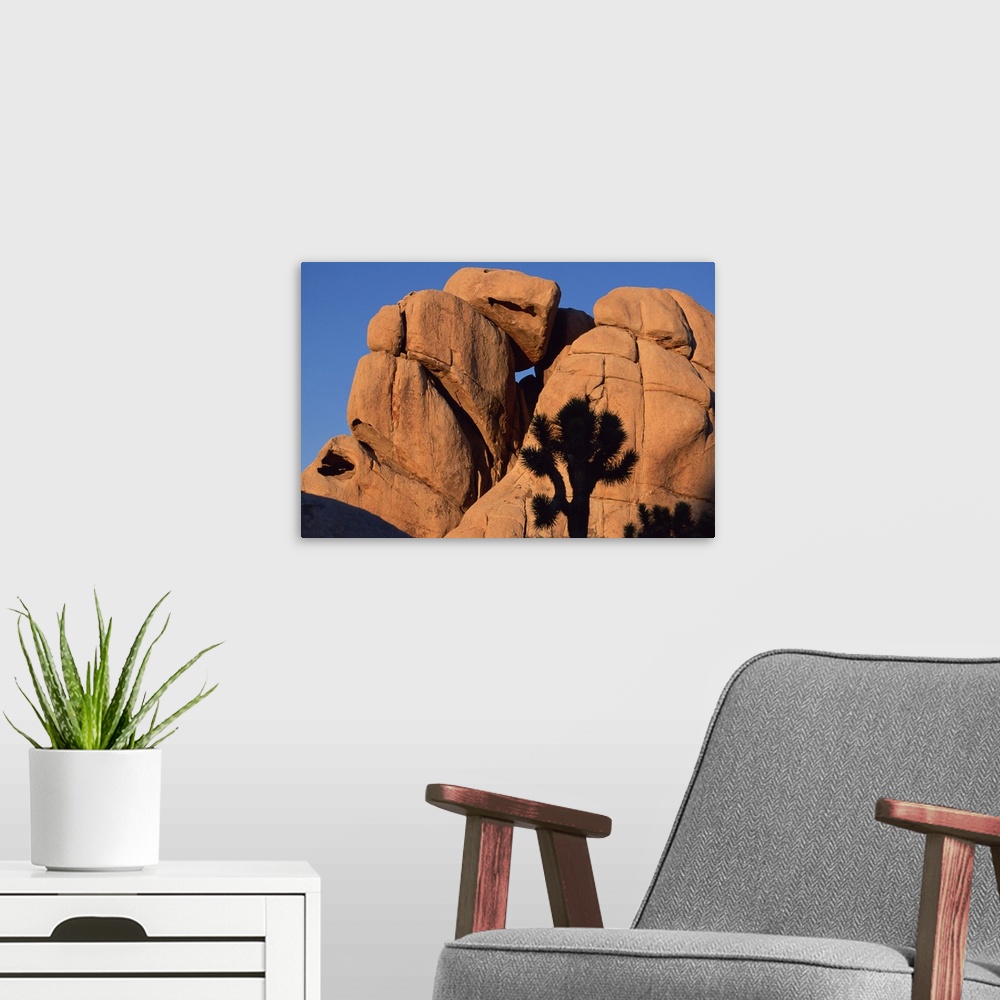 A modern room featuring Eroded monzogranite rock at Joshua Tree National Park , California