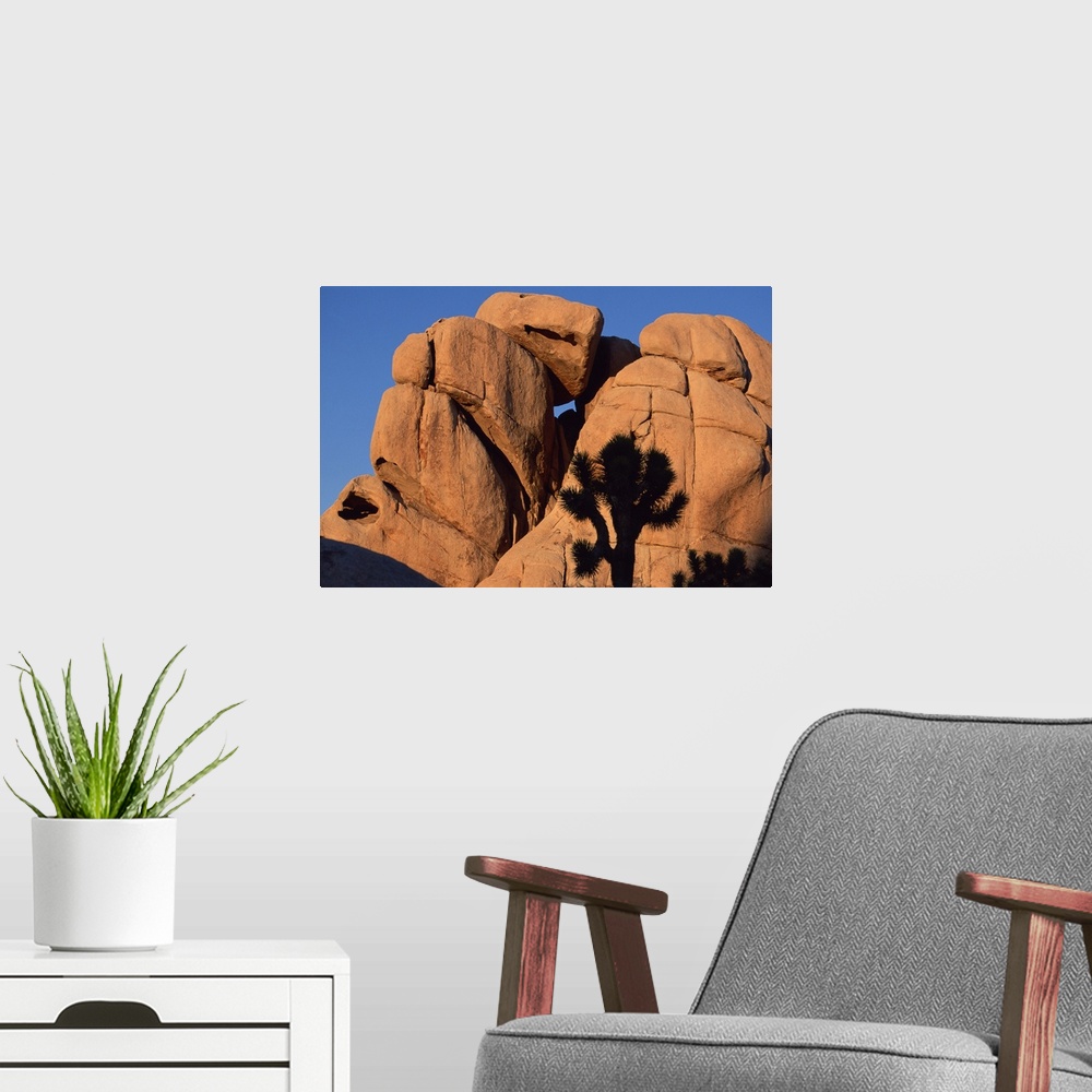 A modern room featuring Eroded monzogranite rock at Joshua Tree National Park , California