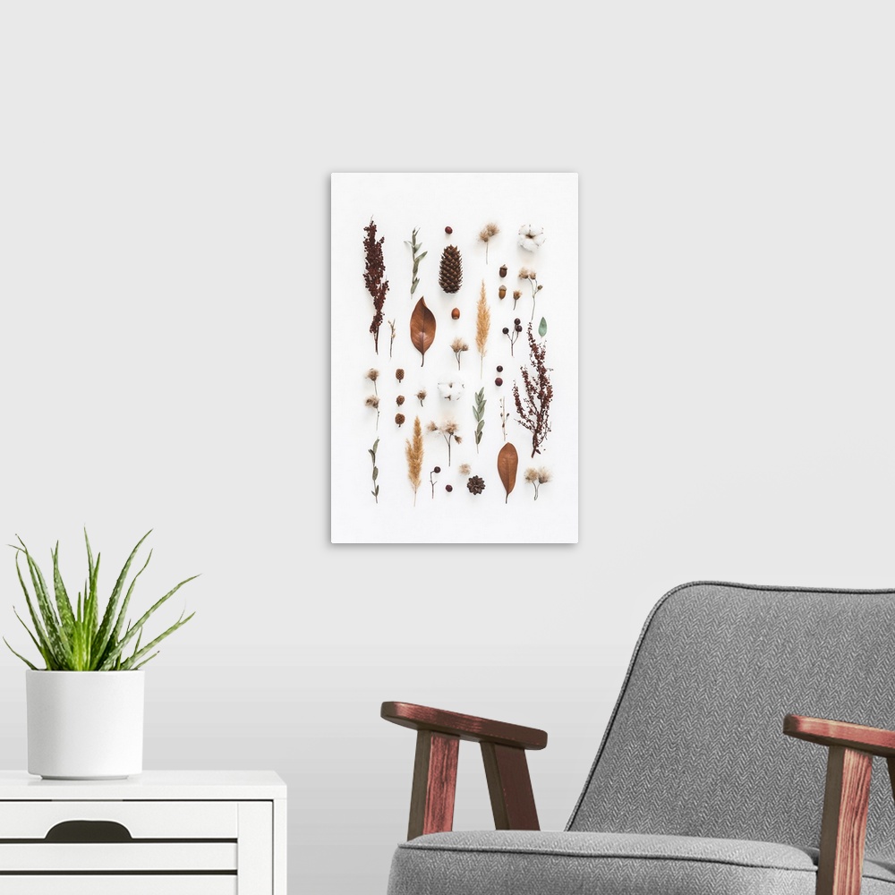 A modern room featuring Autumn composition. Pattern made of eucalyptus branches, cotton flowers, dried leaves on white ba...