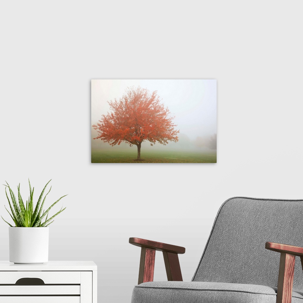 A modern room featuring Fall Trees In The Fog
