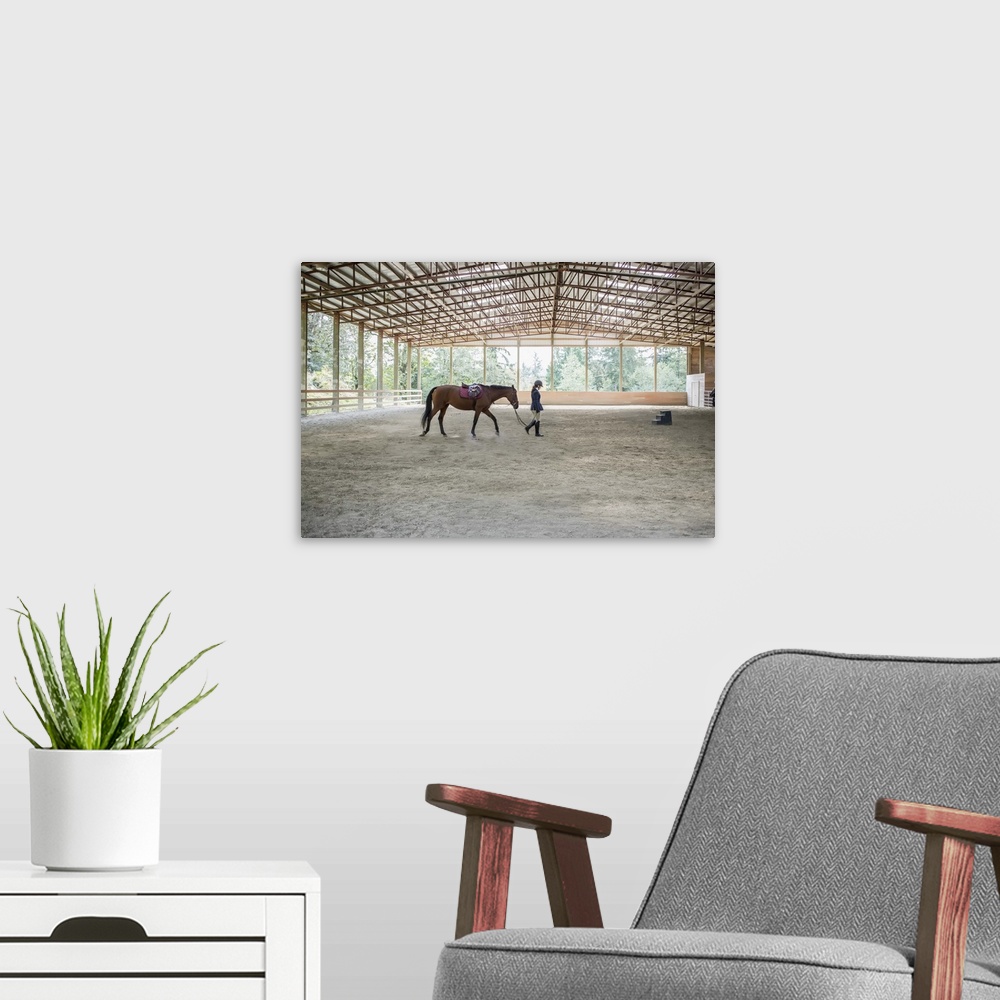 A modern room featuring Female equestrian walking horse in training arena