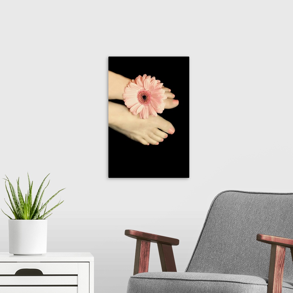 A modern room featuring Female feet with pink gerbera daisy between her toe.