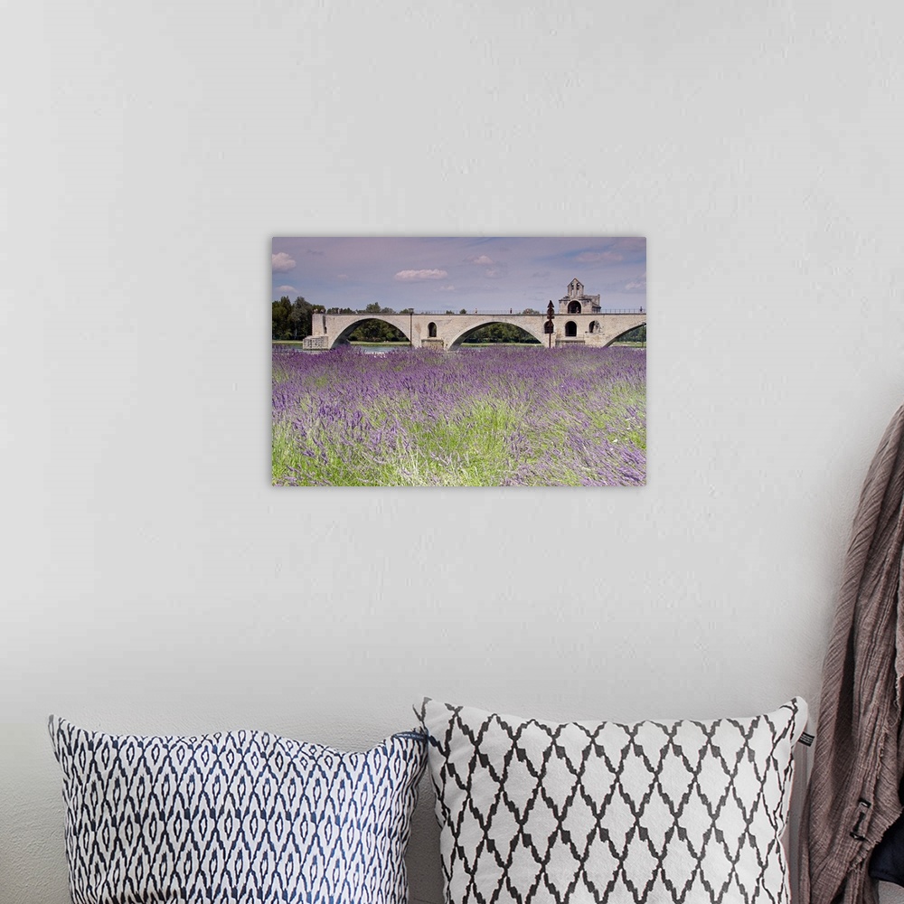 A bohemian room featuring Field of lavenders, St. Benezet's Bridge, Rhone River, Avignon, Provence-Alpes-Cote d'Azur, France