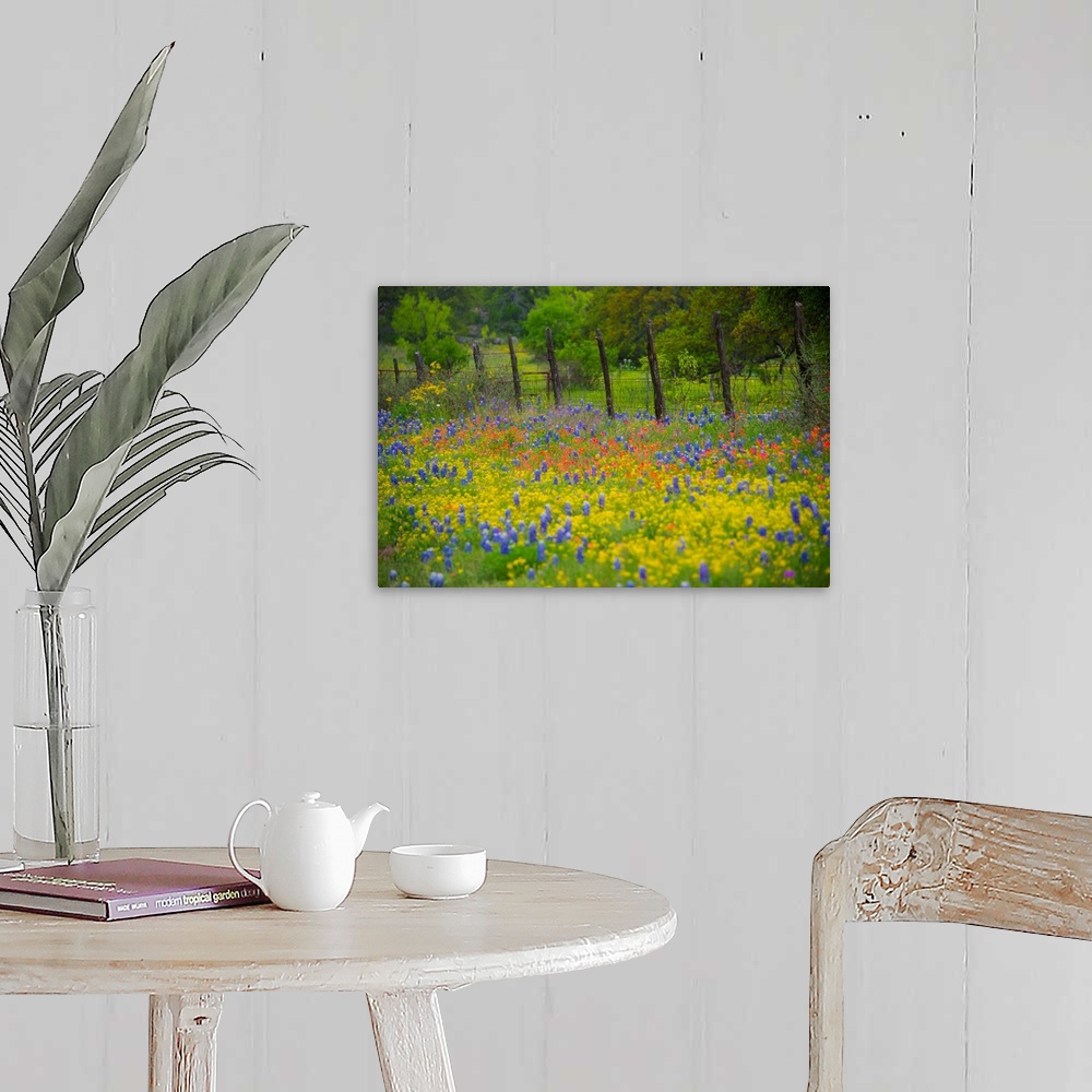 A farmhouse room featuring Field Of Wildflowers