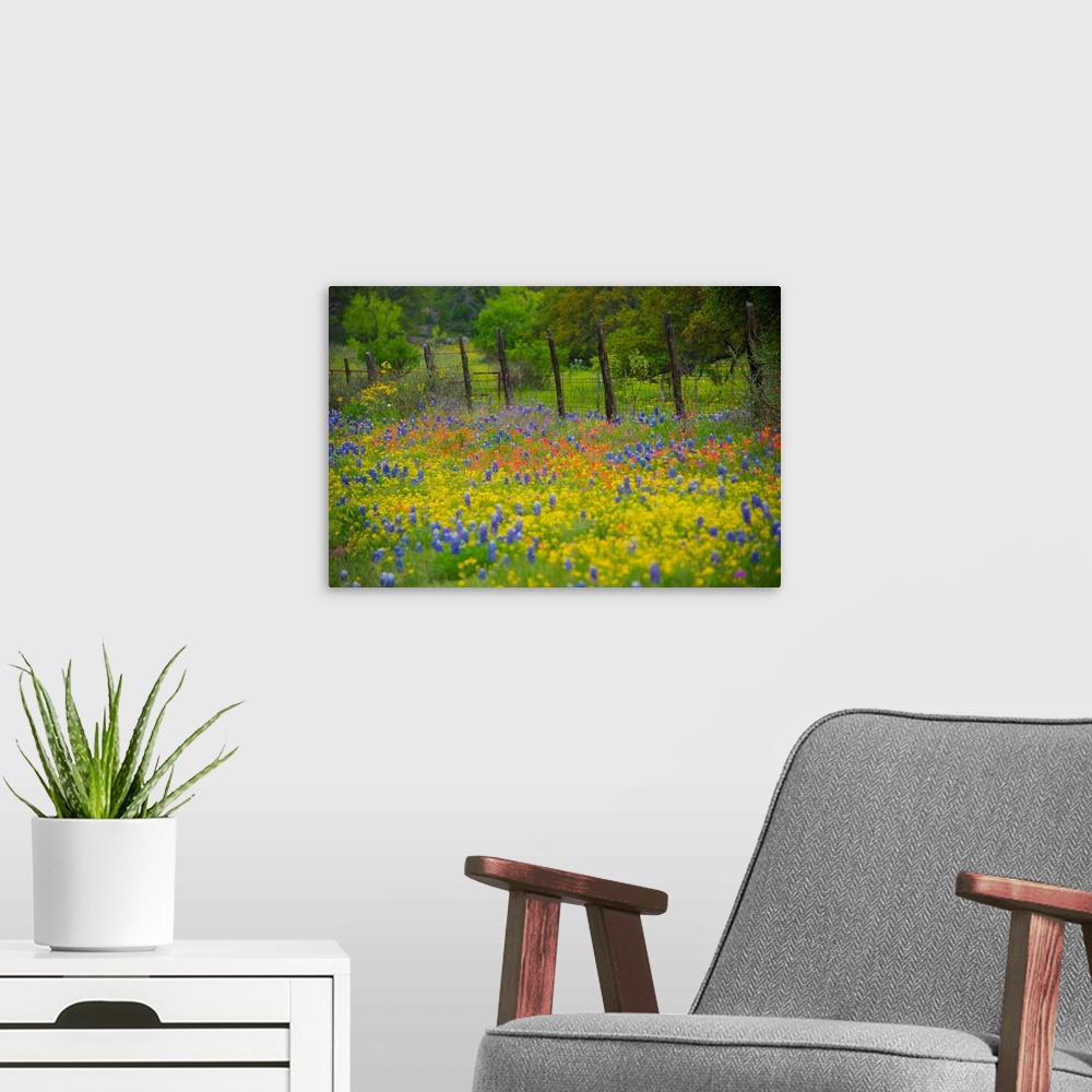 A modern room featuring Field Of Wildflowers