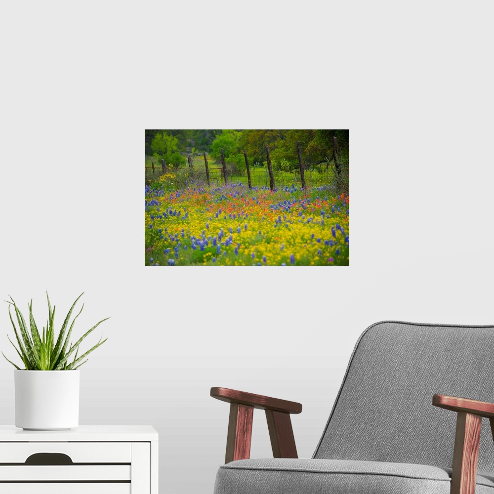 A modern room featuring Field Of Wildflowers