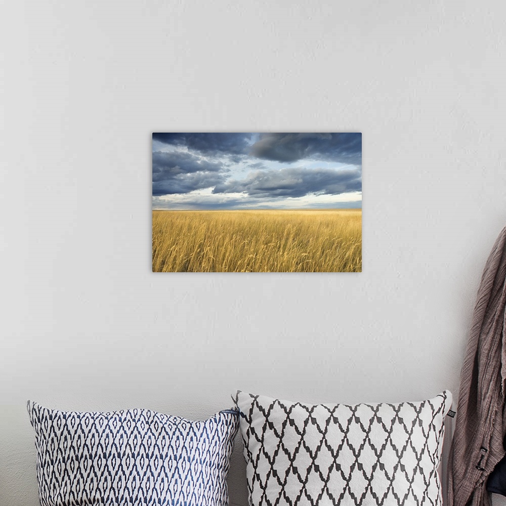 A bohemian room featuring Field with storm clouds