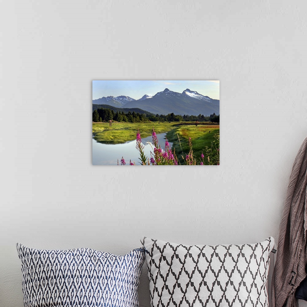 A bohemian room featuring Fireweed in bloom near the Mendenhall River with mountains in background.  Summer.