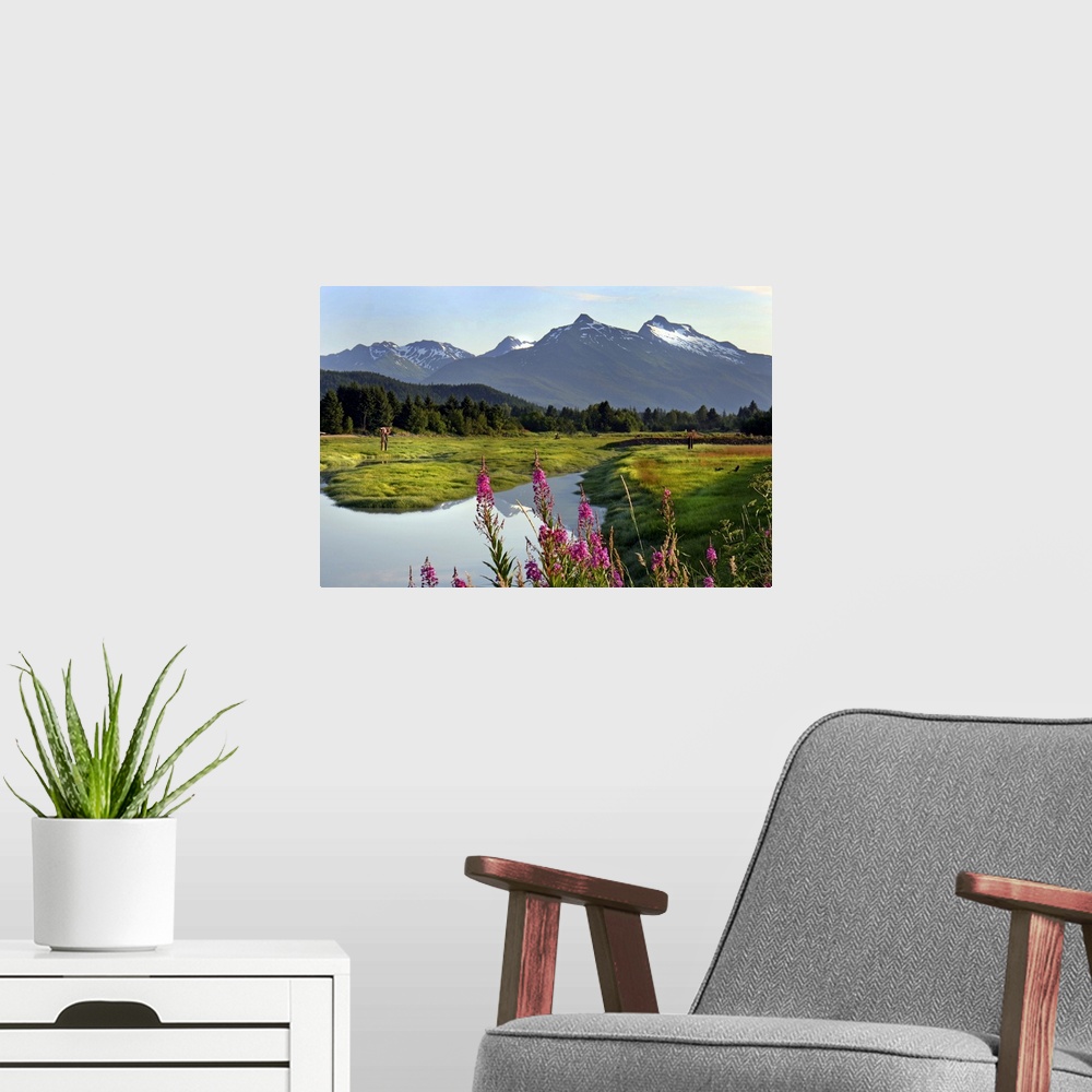 A modern room featuring Fireweed in bloom near the Mendenhall River with mountains in background.  Summer.