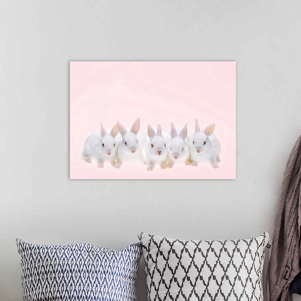 A bohemian room featuring Five Rabbits