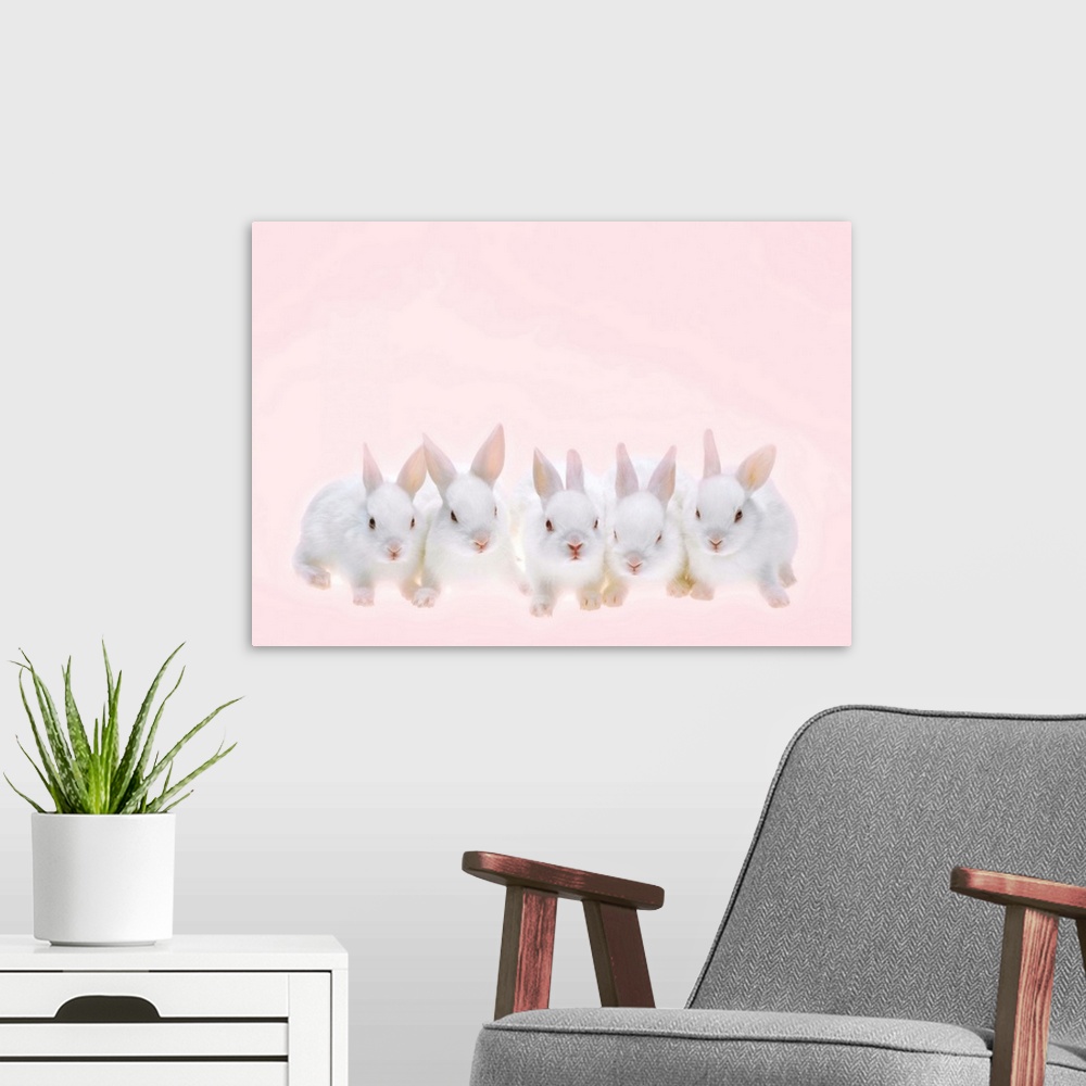 A modern room featuring Five Rabbits